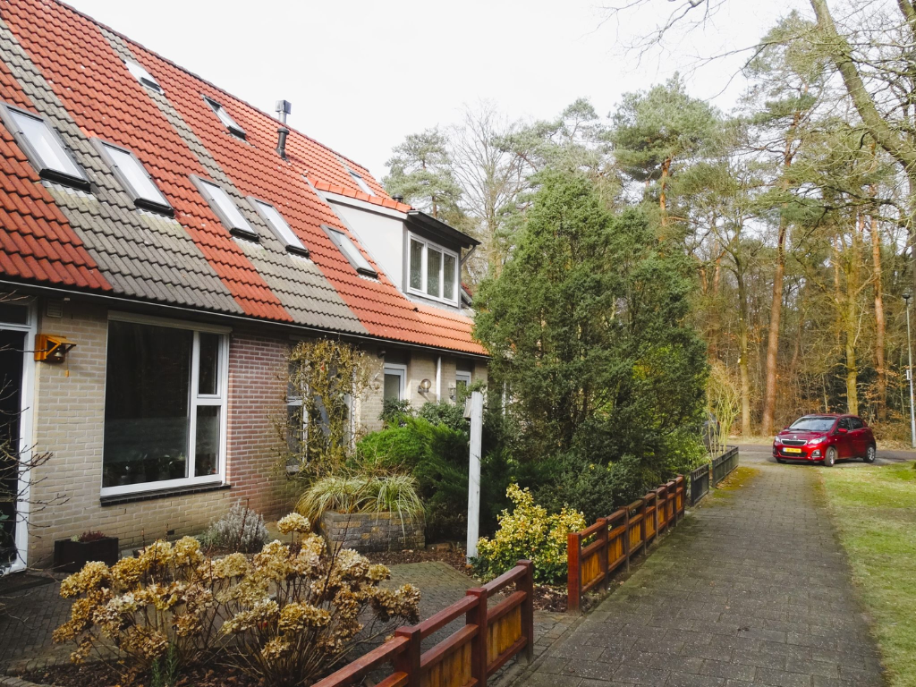 Mini-warmtenetten: terugblik op een succesvolle online reeks